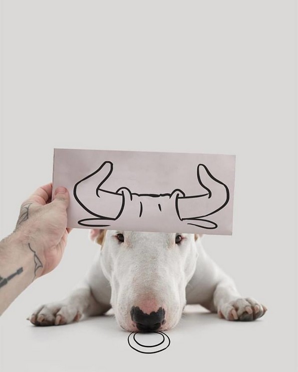 Илустратор го фотографира своето куче во интересни сценарија