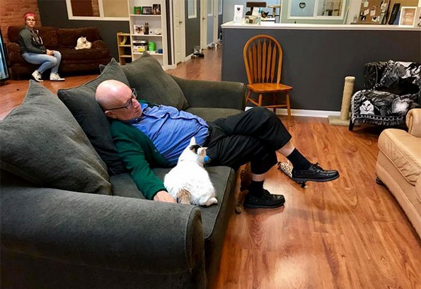 75-годишен маж волонтира и преспива со мачки во засолниште