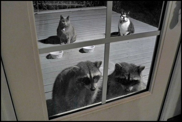 24 уникатни фотографии кои се прават само еднаш во животот