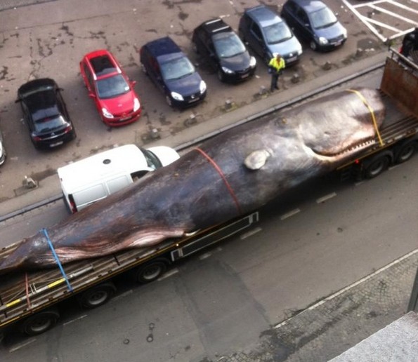 24 уникатни фотографии кои се прават само еднаш во животот