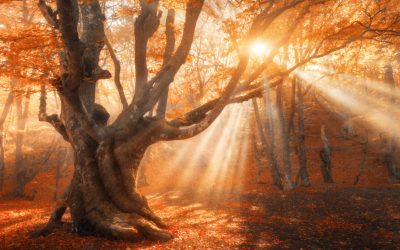 3 интересни митови за есенската рамноденица кои сигурно сте ги помешале со факти