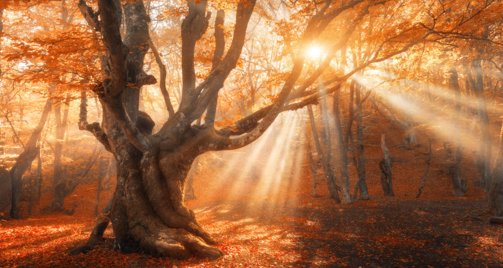 3 интересни митови за есенската рамноденица кои сигурно сте ги помешале со факти