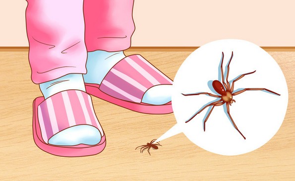 Како да се ослободите од инсектите во вашиот дом?