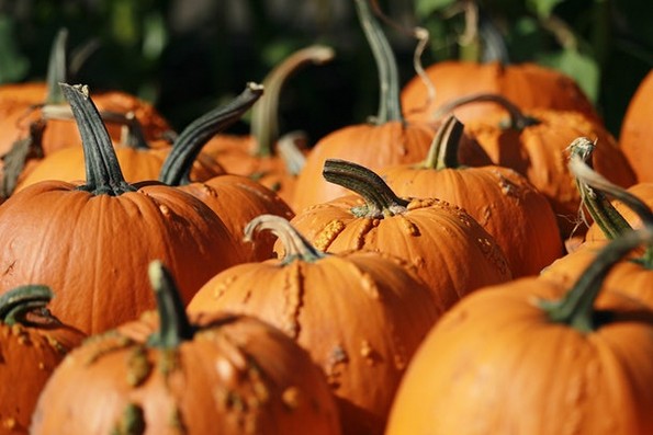 6 трикови за поевтинa eсенска авантура