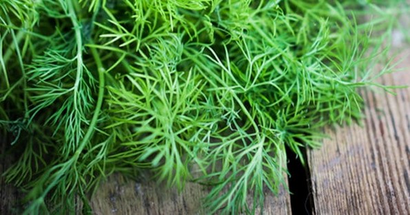 10 видови храна за кои се верувало дека се волшебни