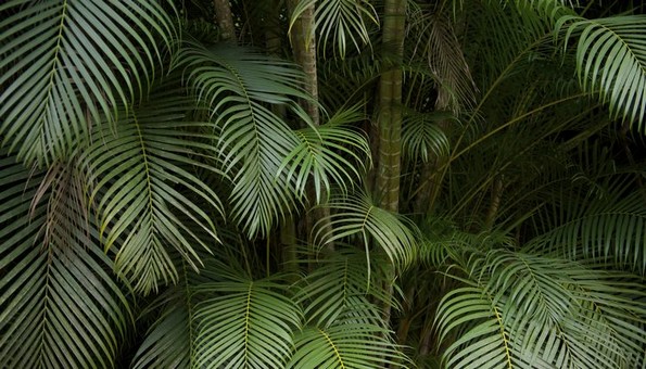 13 едноставни прашања од училиште што им предизвикуваат проблем на повеќето возрасни