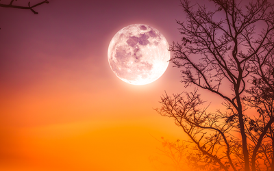Што означува доаѓањето на жетварската месечина?
