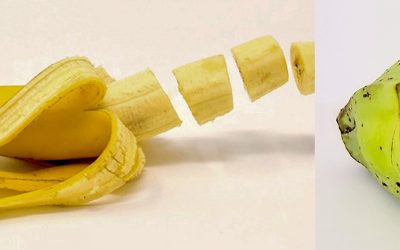 Како изгледале овошјето и зеленчукот во минатото? Бананата сосема ќе ве изненади!