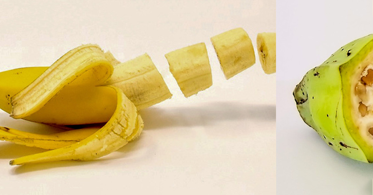 Како изгледале овошјето и зеленчукот во минатото? Бананата сосема ќе ве изненади!