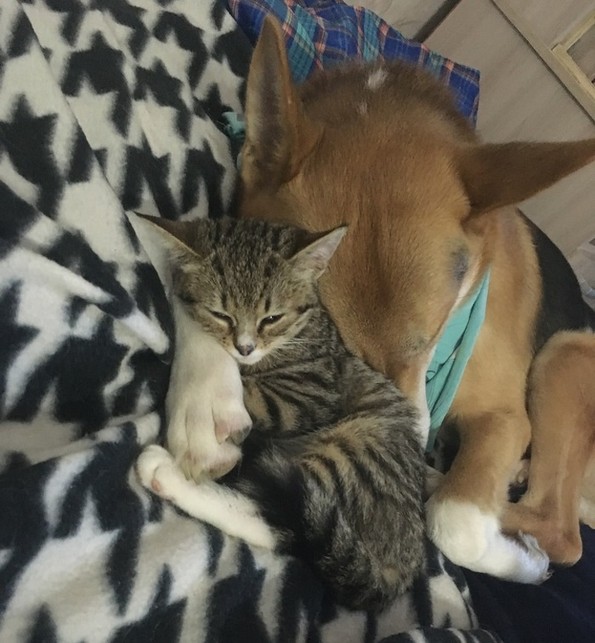 16 фотографии што ќе направат да заборавите на вашите проблеми