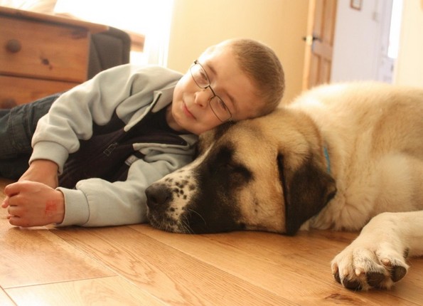 18 фотографии што ќе го стопат вашето срце