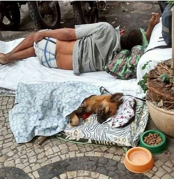 17 трогателни фотографии што ќе ве остават без зборови