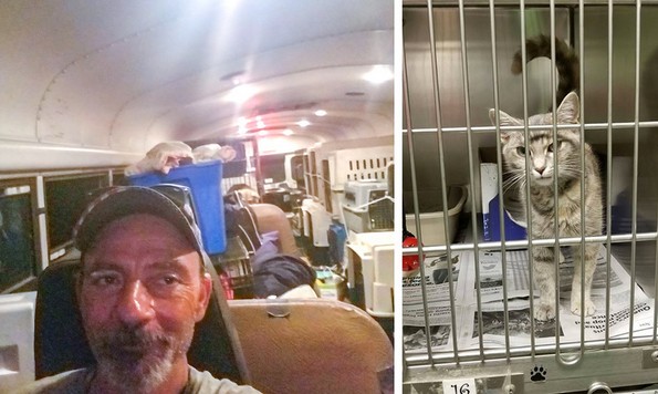 18 фотографии што ќе го стопат вашето срце