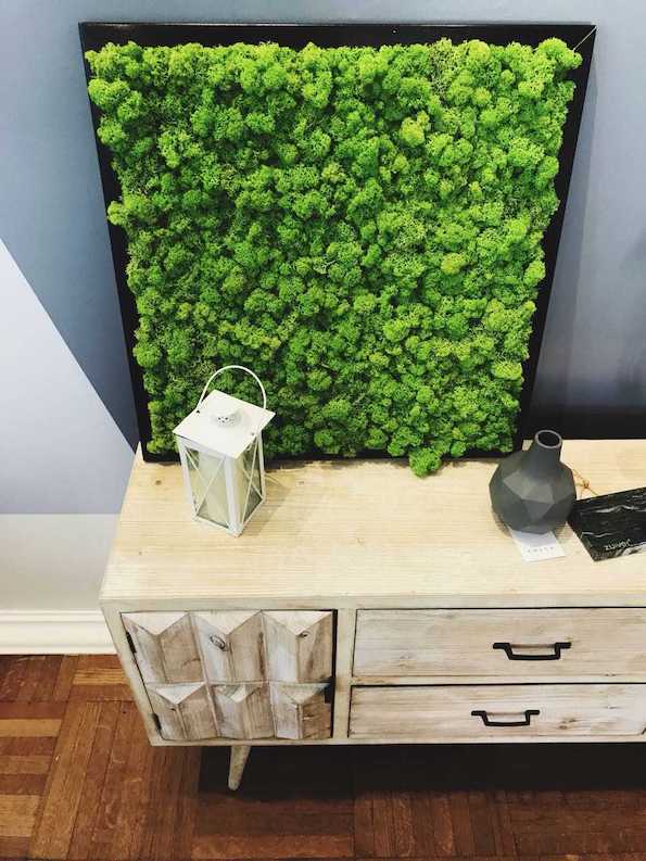 Фото: Модерни станови со зелени декорации во Скопје!