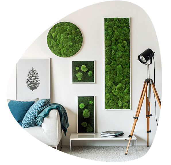 Фото: Модерни станови со зелени декорации во Скопје!