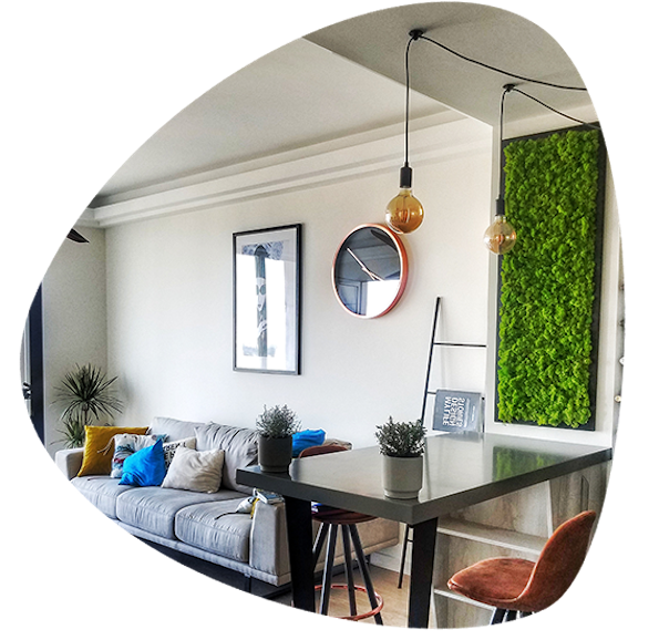 Фото: Модерни станови со зелени декорации во Скопје!