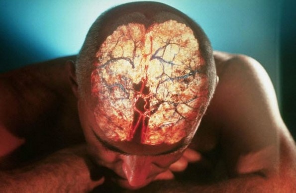 10 факти за смртта од модерната наука