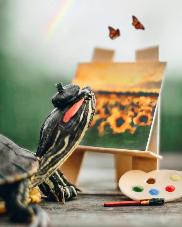 Запознајте ги Сквиши и Рози, желките што го освоија Инстаграм