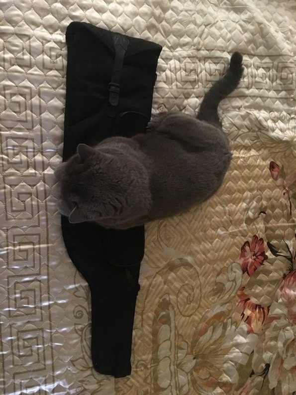 12 моќни фотографии што ќе го расплачат секого