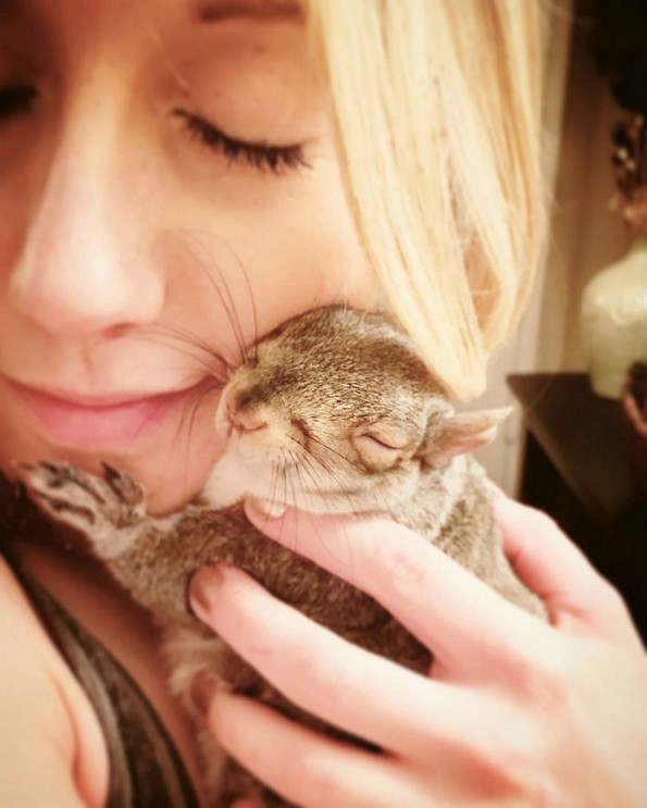 Напуштена верверичка станала најслаткото домашно милениче