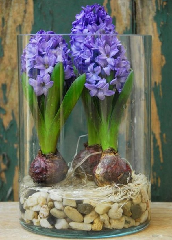 19 растенија и зеленчуци што можете да ги одгледувате само во чаша вода