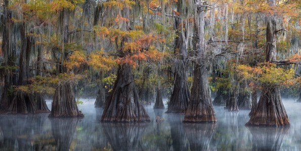 Победниците на Интернационалниот натпревар за фотографии на EPSON