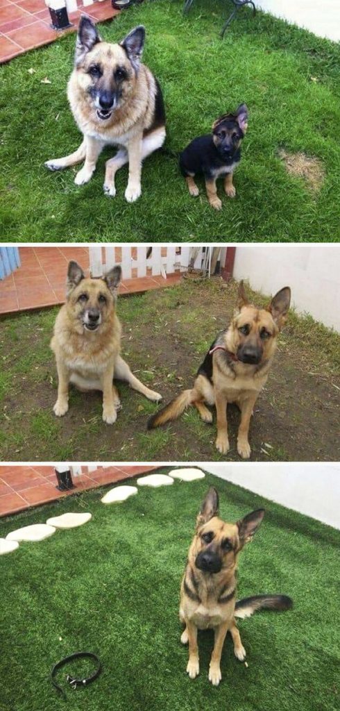 12 моќни фотографии што ќе го расплачат секого