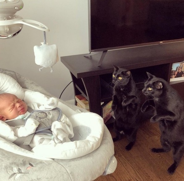 24 фотографии кои ќе ве држат расположени целата есен