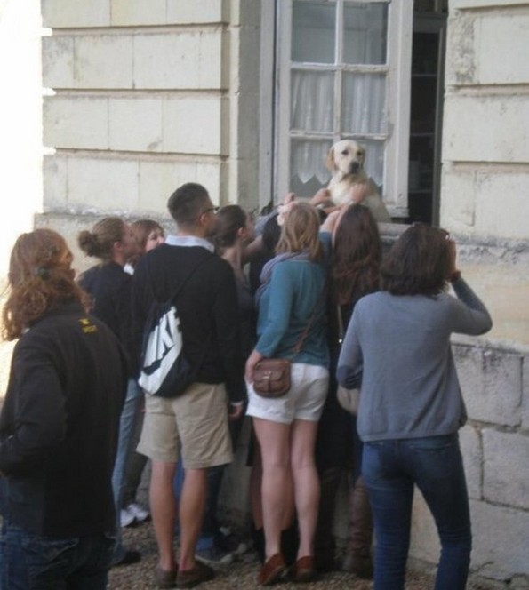 24 фотографии кои ќе ве држат расположени целата есен