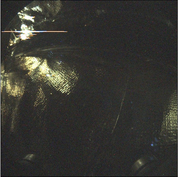 Подготовките и слетувањето на InSight на Марс низ фотографии