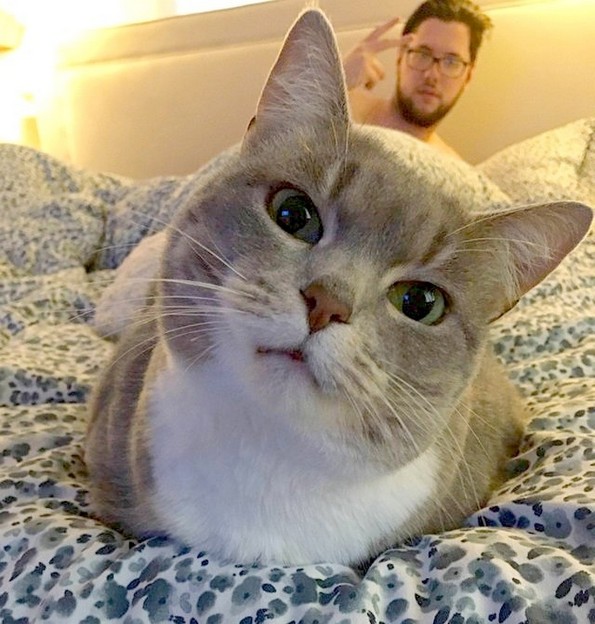 24 фотографии кои ќе ве држат расположени целата есен