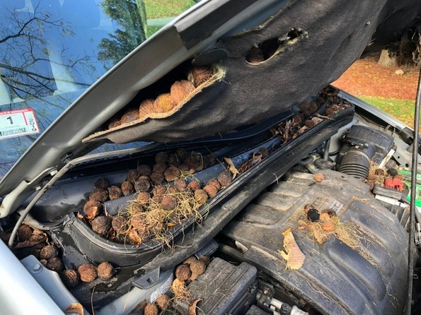 19 несреќни луѓе кои имале навистина лош ден