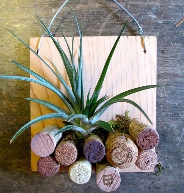 19 растенија и зеленчуци што можете да ги одгледувате само во чаша вода