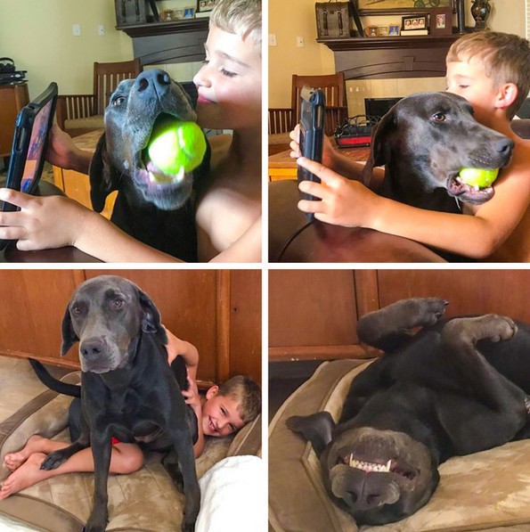 24 фотографии кои ќе ве држат расположени целата есен