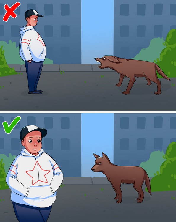 Работи што треба да ги знаете доколку сте нападнати од куче