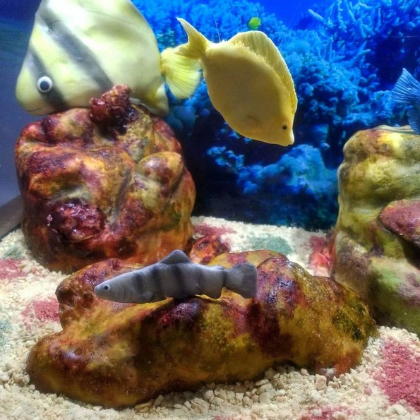 24 реалистични торти што нема да сакате да ги изедете