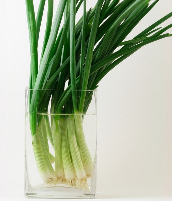 19 растенија и зеленчуци што можете да ги одгледувате само во чаша вода