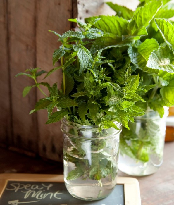 19 растенија и зеленчуци што можете да ги одгледувате само во чаша вода