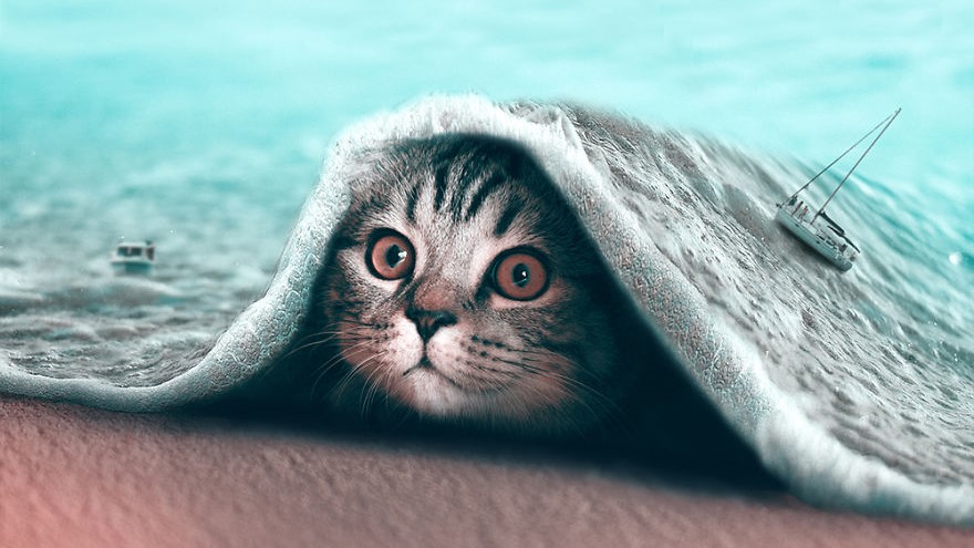 Надреални фотоманипулации на фотографии со животни