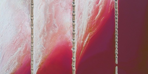 Победниците на Интернационалниот натпревар за фотографии на EPSON