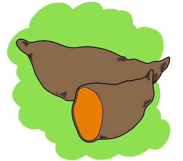 10 видови храна што се одлични за здравјето во студените месеци