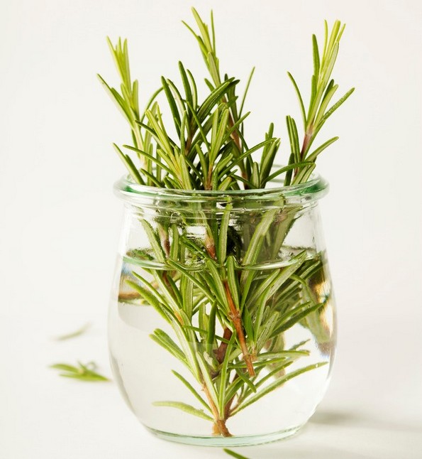 19 растенија и зеленчуци што можете да ги одгледувате само во чаша вода