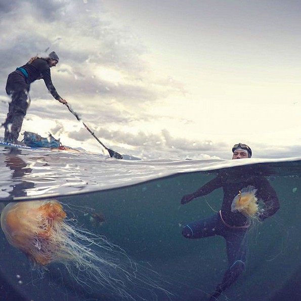 Мажот кој поминал 5 месеци пливајќи околу Велика Британија го сподели неговото искуство