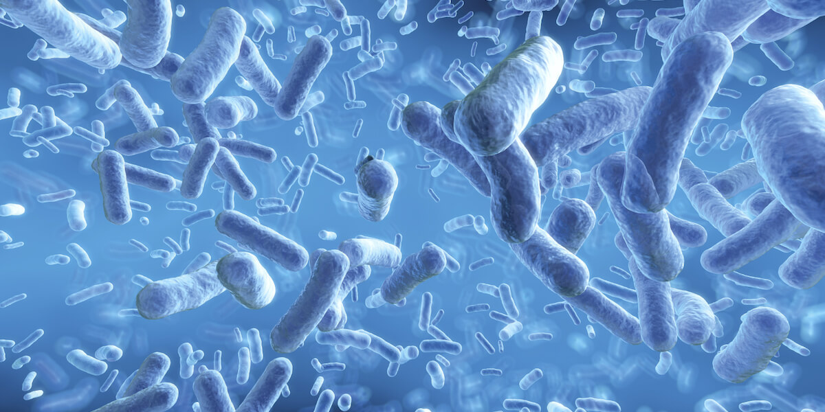 Дали пробиотиците се навистина корисни?