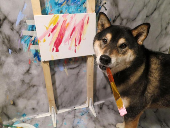 Запознајте го Хантер, кучето што црта апстрактни ремек-дела