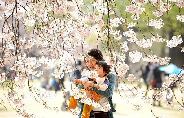 5 правила од јапонските родители што сигурно ќе сакате да ги примените