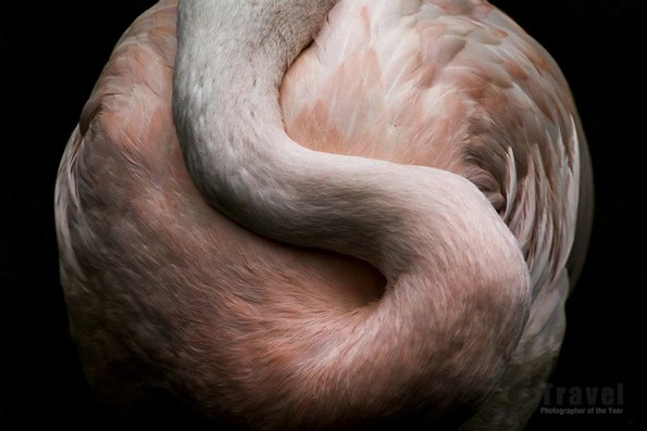 Најдобрите патувачки фотографии за 2018-та година