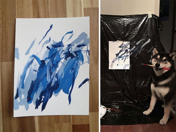 Запознајте го Хантер, кучето што црта апстрактни ремек-дела