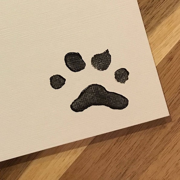 Запознајте го Хантер, кучето што црта апстрактни ремек-дела