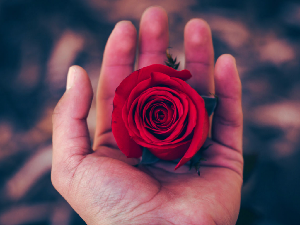 Најповолни периоди за љубов во 2019-та година за секој хороскопски знак